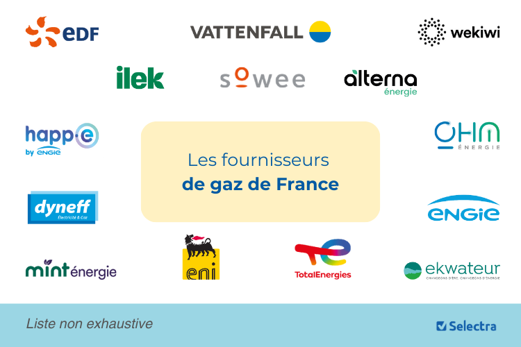 Fournisseur Gaz En France : Liste, Avis, Prix | Novembre 2024